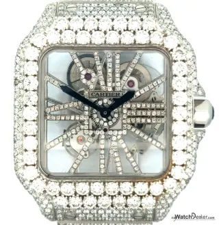 Cartier Santos de Cartier Skeleton WHSA0015
