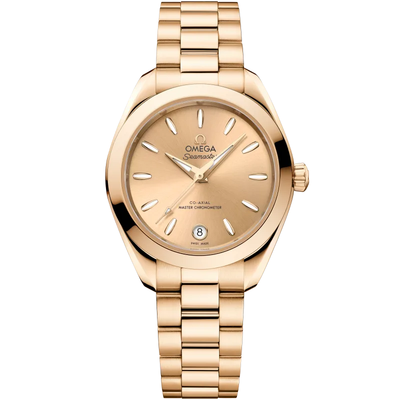 Omega Seamaster 22050302008001